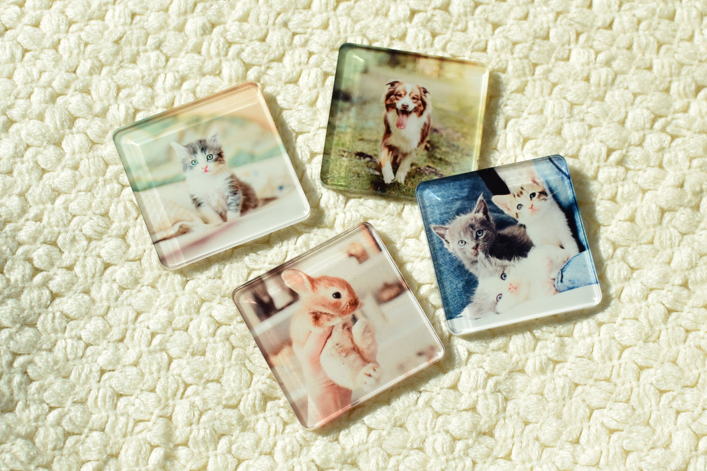 Customizable Acrylic Magnets