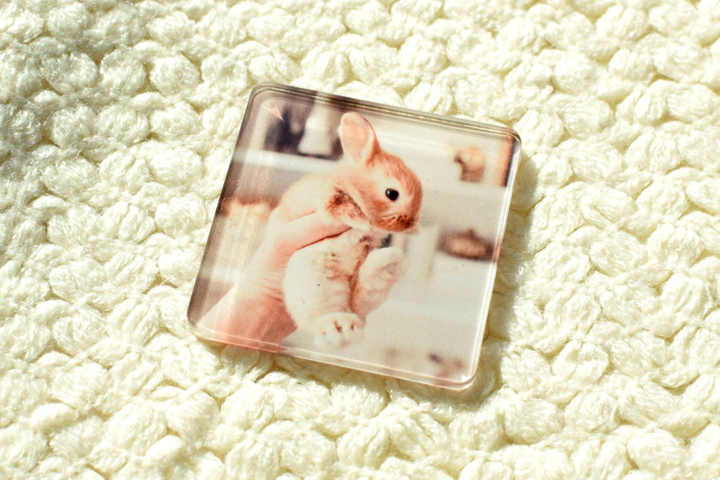 Customizable Acrylic Magnets
