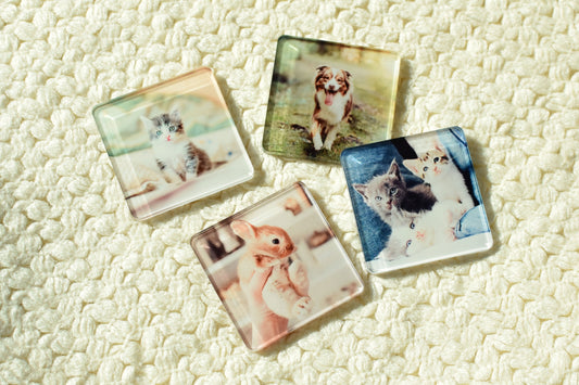 Customizable Acrylic Magnets