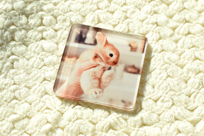 Customizable Acrylic Magnets