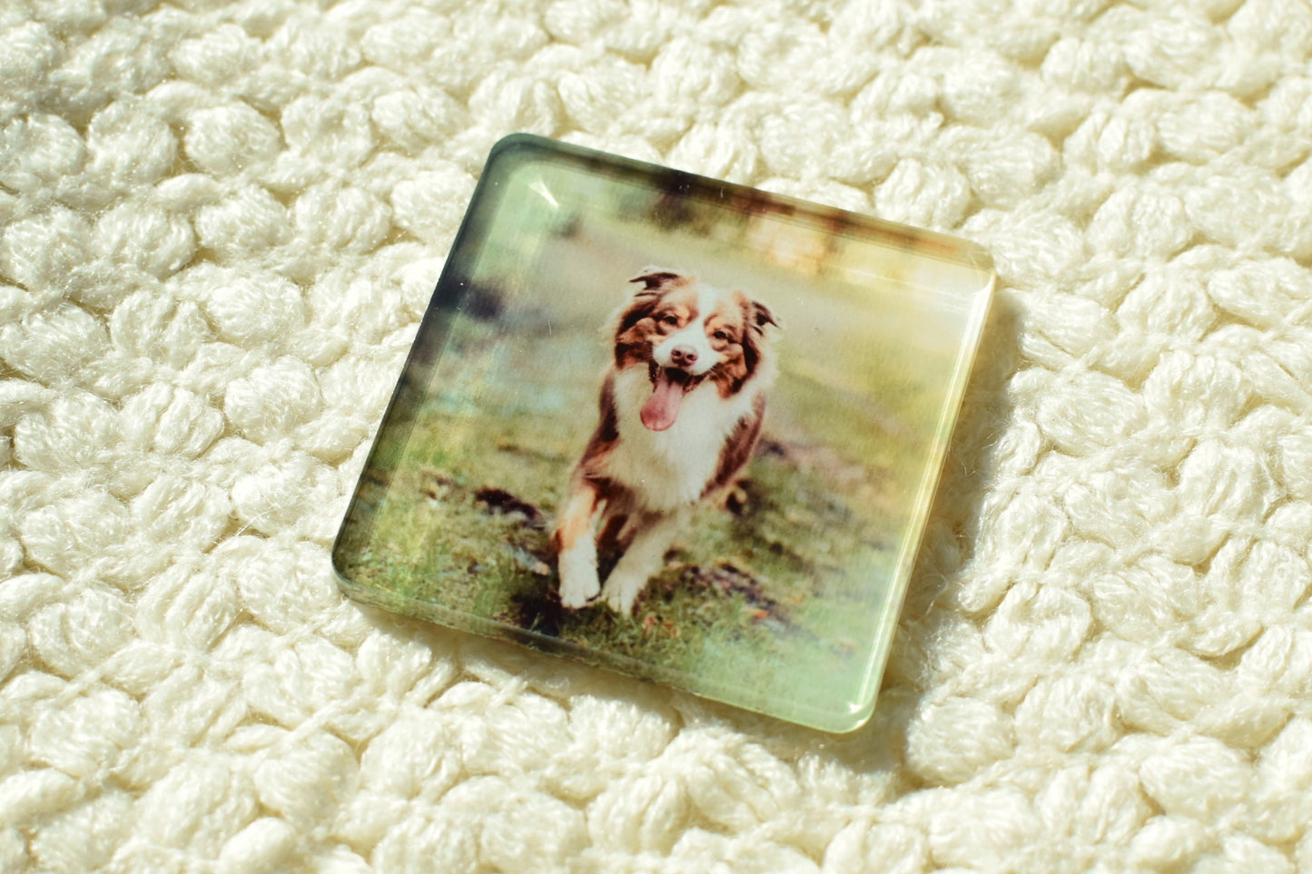 Customizable Acrylic Magnets